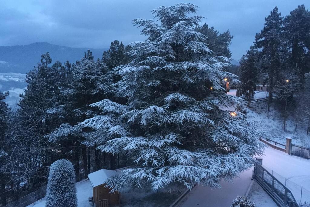 Residence Bellavista Fondo Dış mekan fotoğraf
